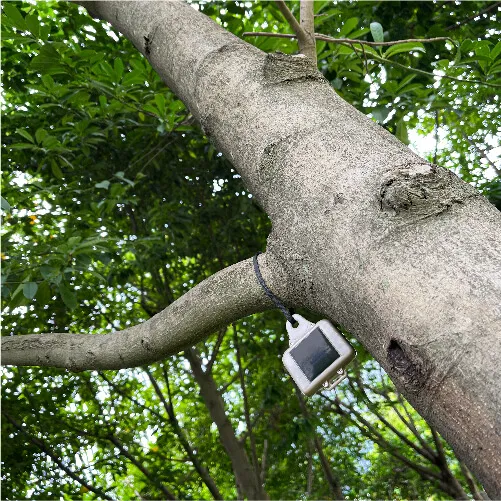 Image loading failure